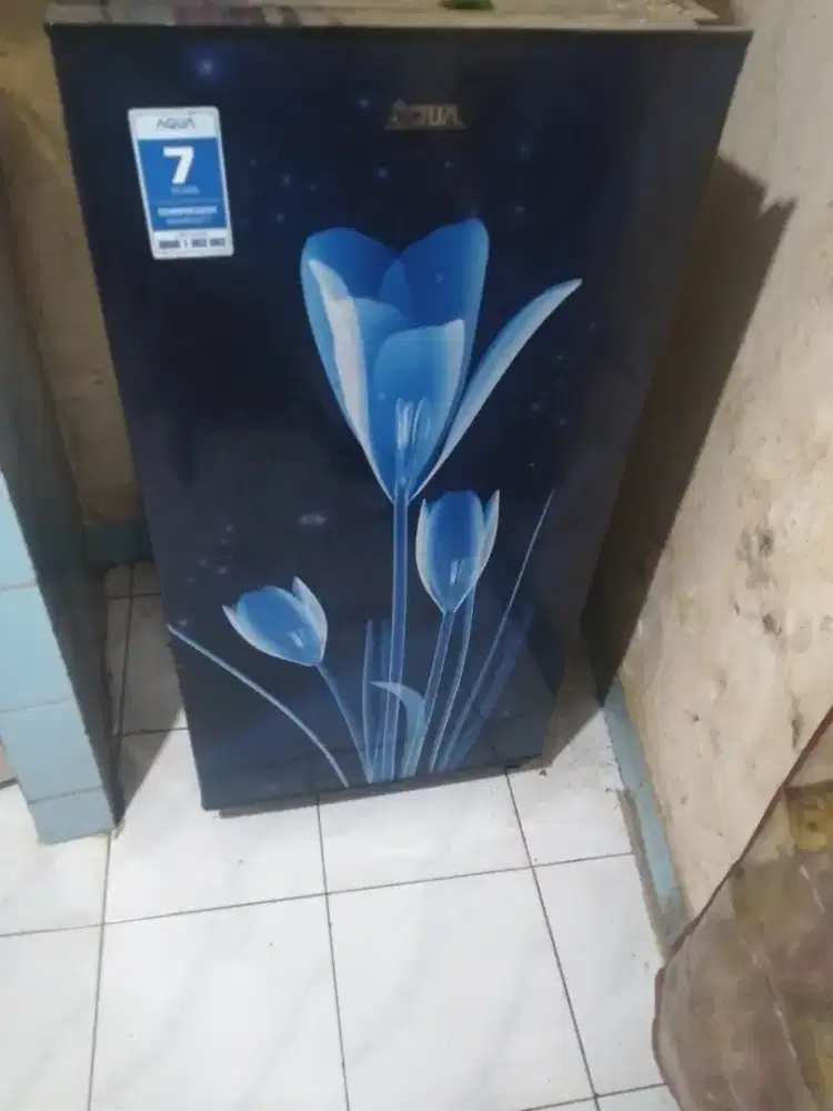 Kulkas 1 pintu, pribadi (pakean)