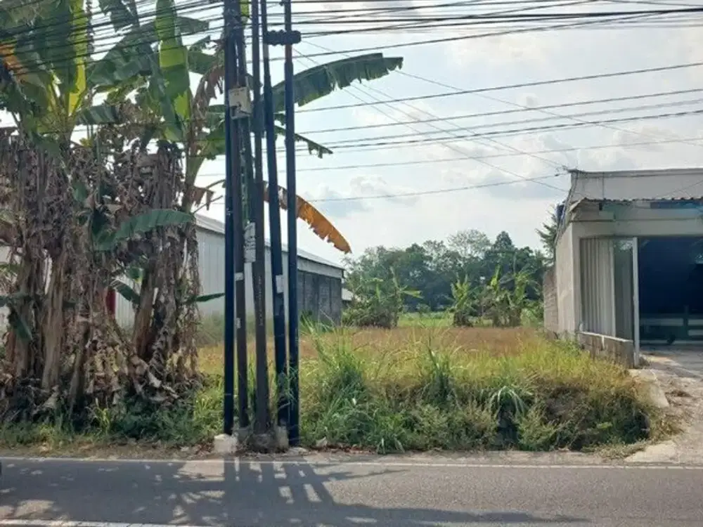 Tanah Luas Dekat Sleman City Hall - Pandowoharjo