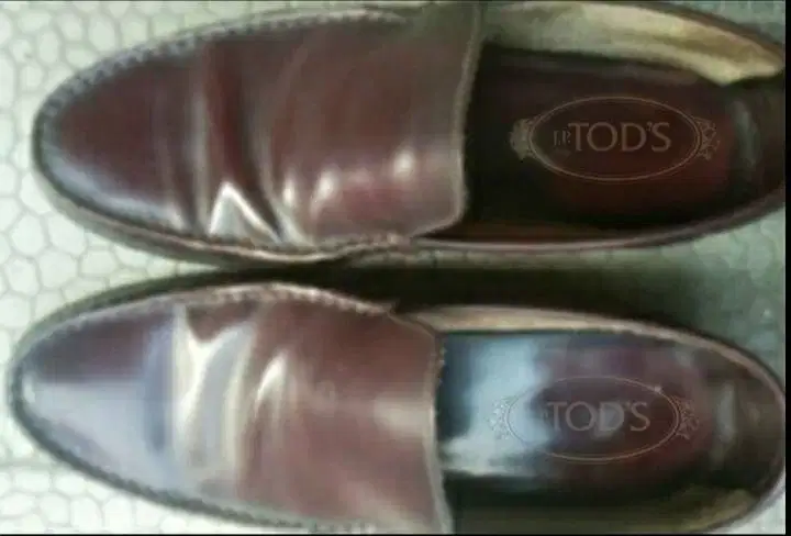 Tod's sepatu kulit pria