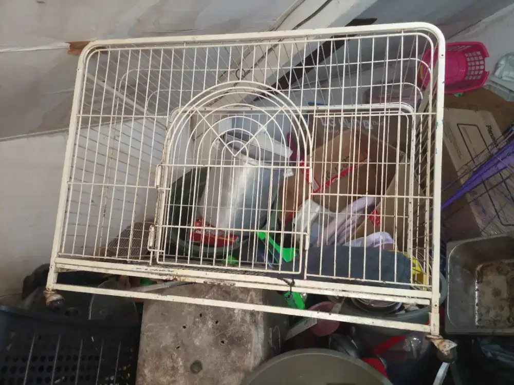 Kandang anjing/guguk
