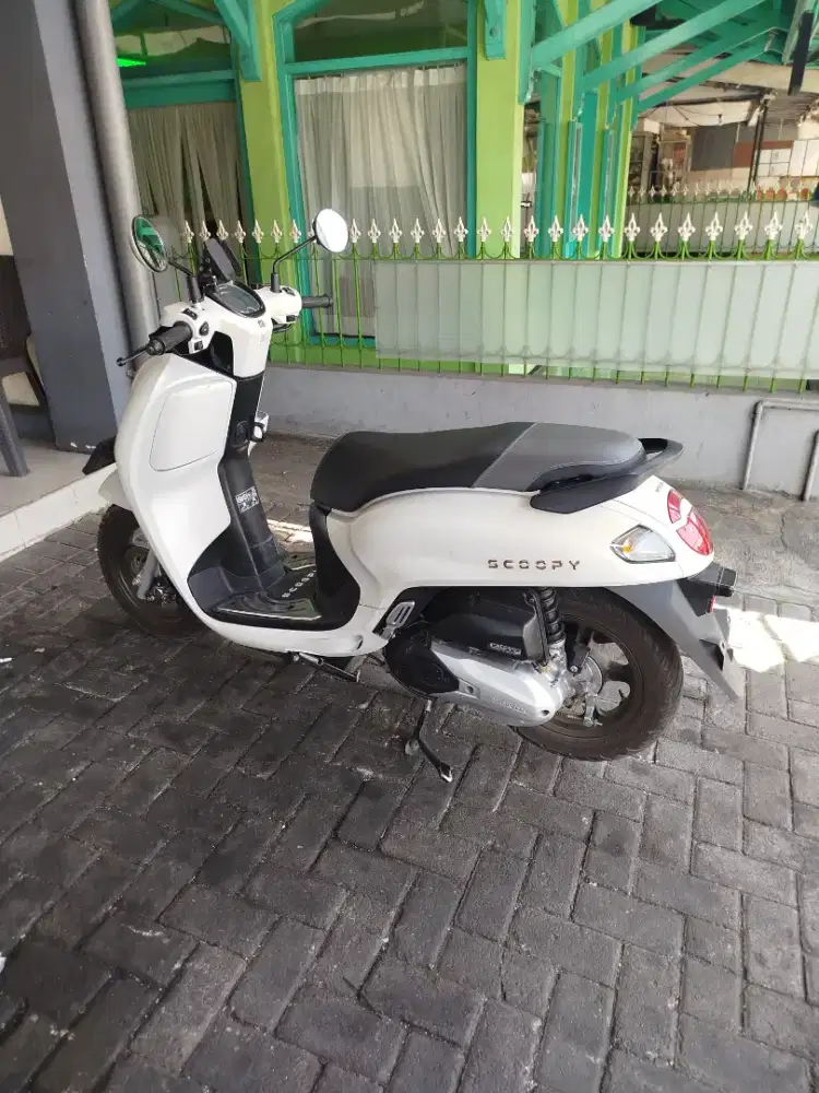 Scoopy second 2025