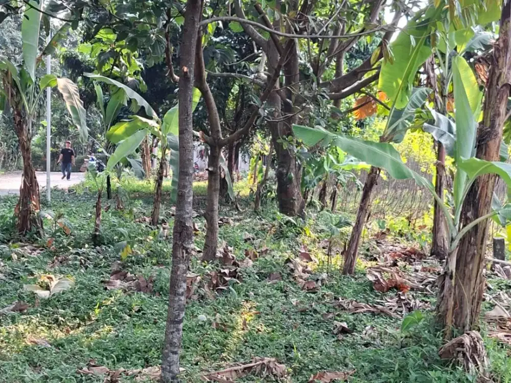 Dijual Tanah Darat 1.400 m2 di Nagrak, Bogor