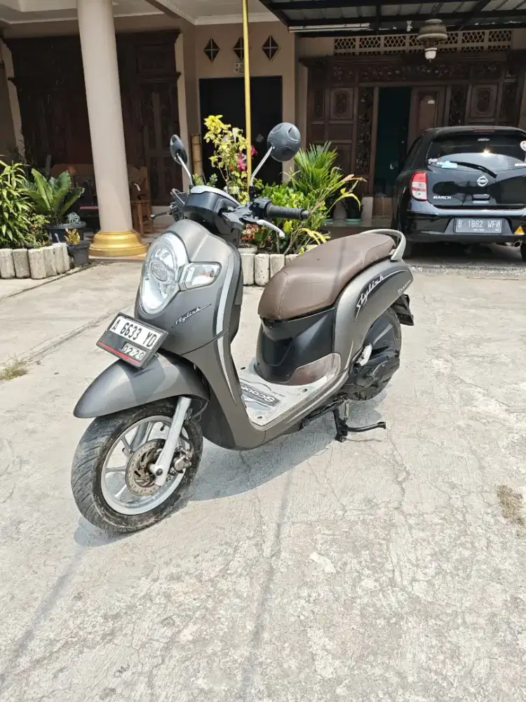 •Big sale Honda Scoopy Stylish