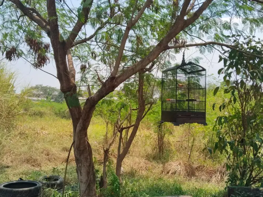 DIJUAL TANAH 3 HEKTAR DI SOEKARNO HATTA BANDUNG