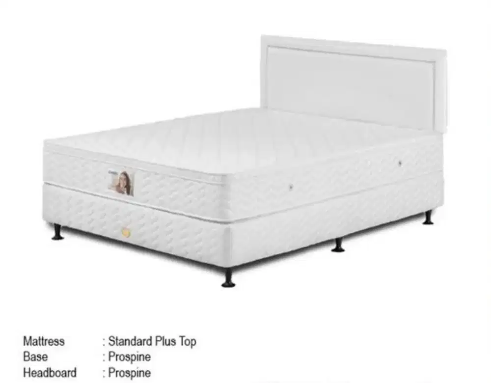 Single Bed 100x200 Guhdo Standard Plush Top
Divan Prospine
Sandaran