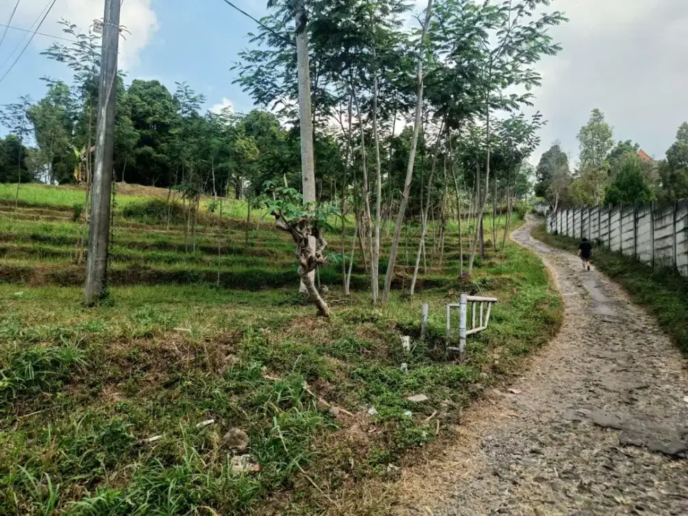 Dijual Cepat Tanah 4,8Ha di Jalan Jeruk Ledug Tretes Prigen Posisi Hook