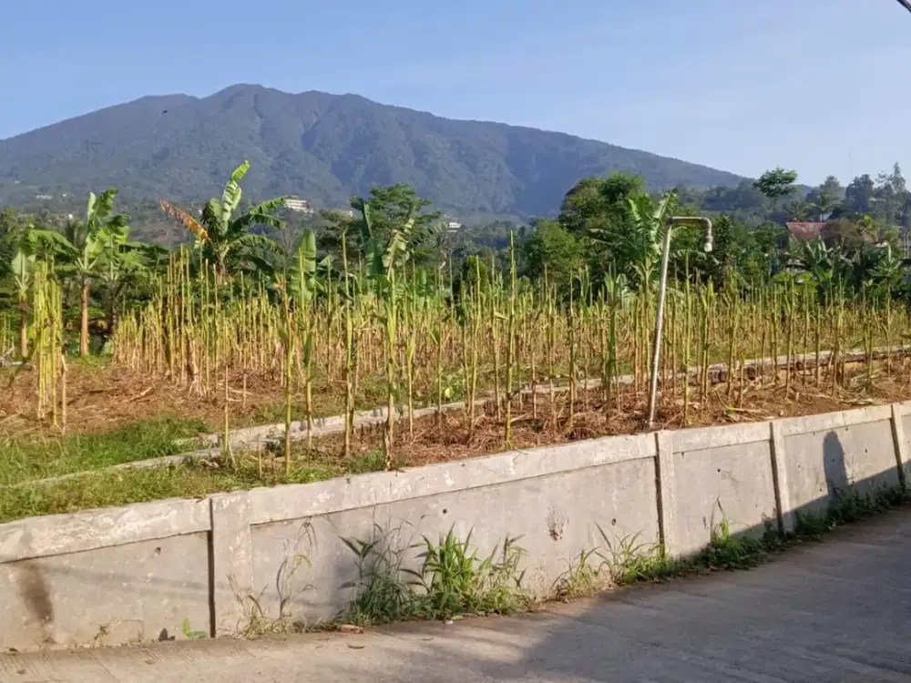 Jual Tanah 1.380 m2 di Cigombong, Bogor