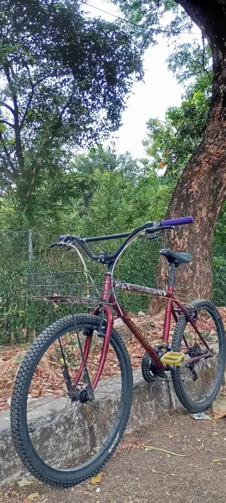 Sepeda federal kalcer