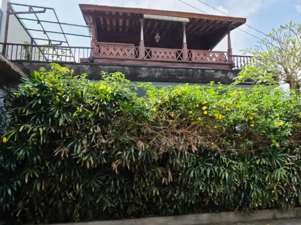 VILLA VIEW SAWAH 2 LANTAI DI RAYA SINGAPADU SUKAWATI GIANYAR, BALI
