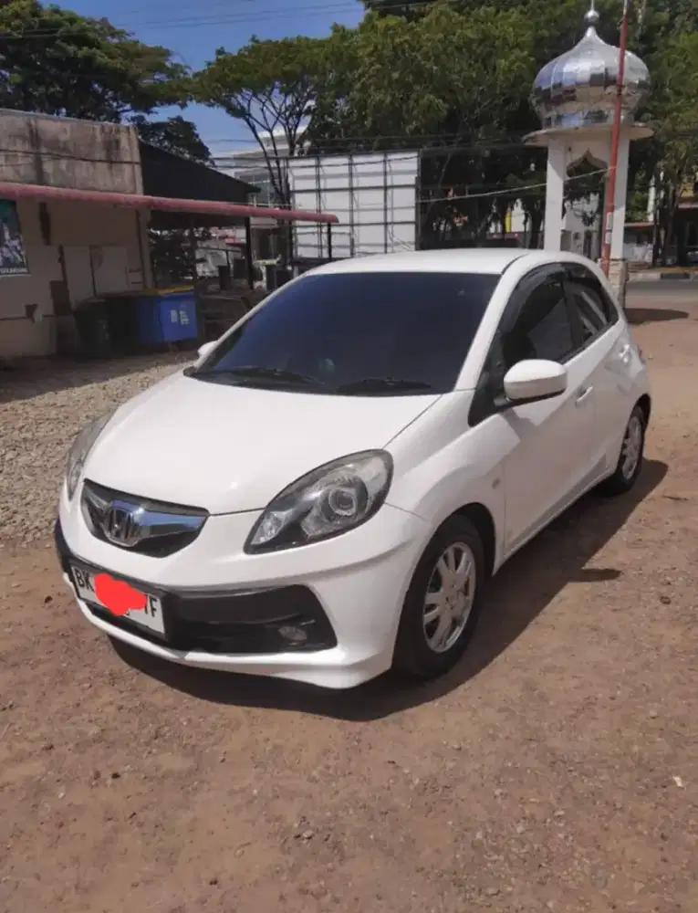 Brio e satya 2015 manual