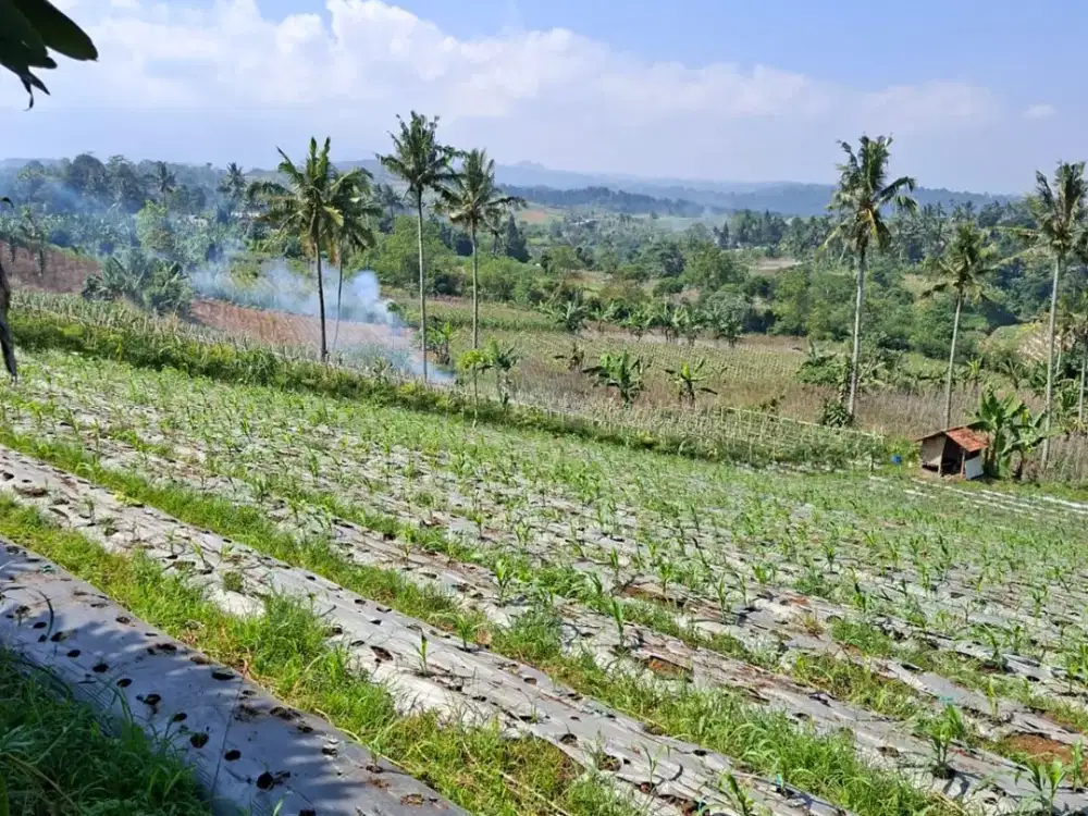 Dijual Tanah Darat 5 Hektar di Kawasan Lido, Bogor