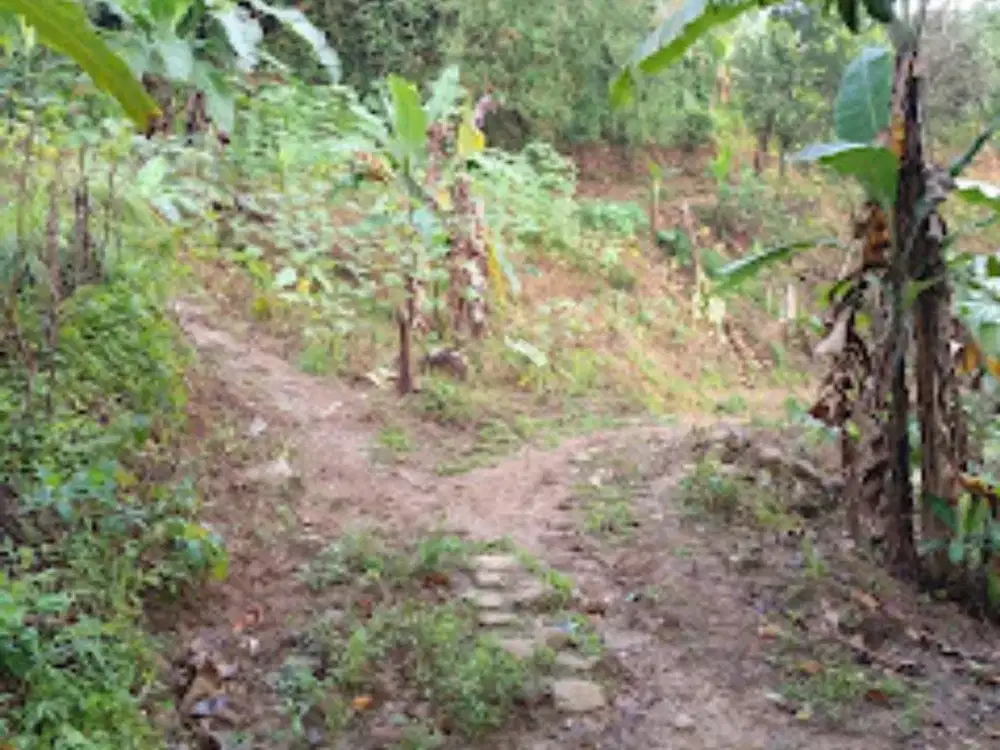 Dijual Tanah 1000 m2 di Desa Pabuaran, Sukamakmur, Puncak 2