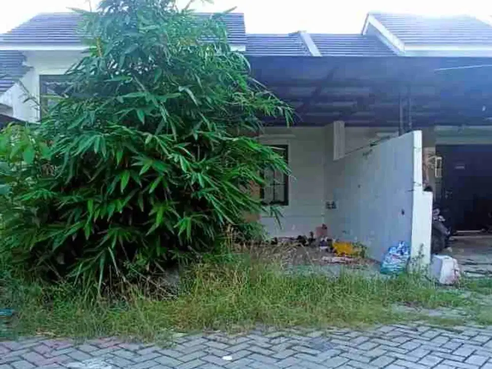 DI JUAL RUMAH

PERUM GRESIK KOTA MAS  BLOK J2/18
KEL. : DADAPKUNING
KEC. : CERME
KAB  : GRESIK