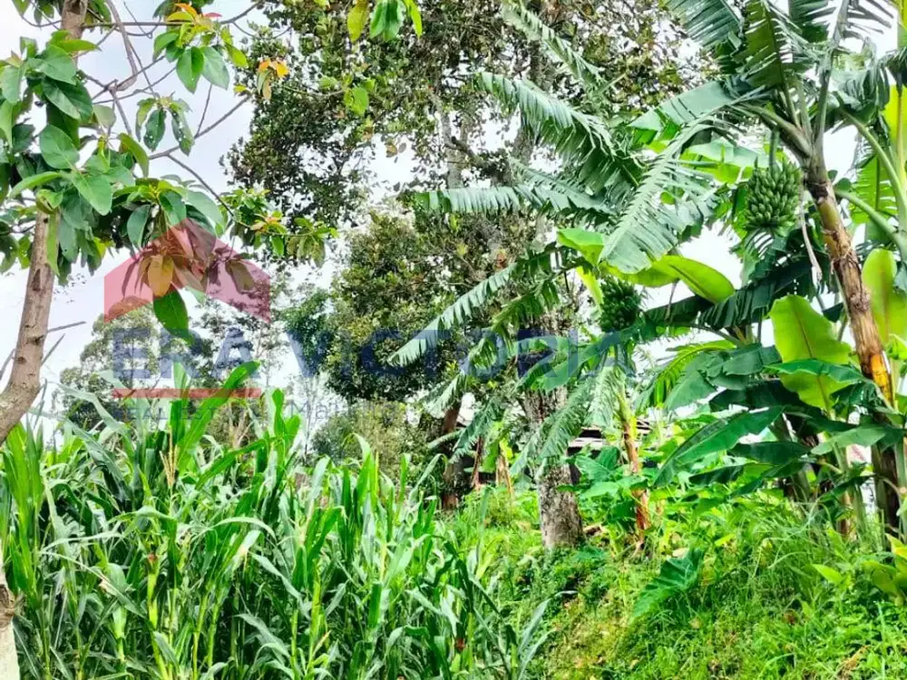 Tanah Junrejo Suasana Tenang dan Cocok untuk Segala Usaha