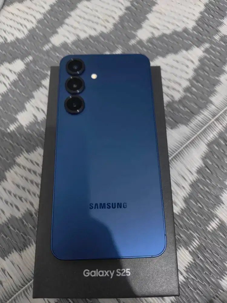 Samsung S25 (12/256)