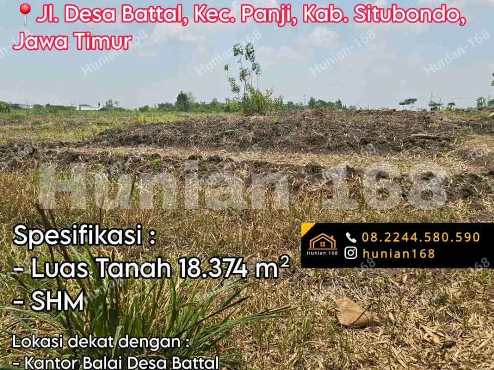 Tanah Kavling Kebun Peternakan Sawah Perkebunan Situbondo Battal Jawa Timur Panji Jatim Gudang Pabrik Workshop Parkir Garasi Jalan Raya Provinsi Bondowoso Propinsi Jatisari Arjasa