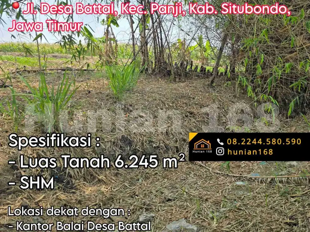 Tanah Kavling Kebun Peternakan Sawah Perkebunan Situbondo Battal Jawa Timur Panji Jatim Gudang Pabrik Workshop Parkir Garasi Jalan Raya Provinsi Bondowoso Propinsi Jatisari Arjasa