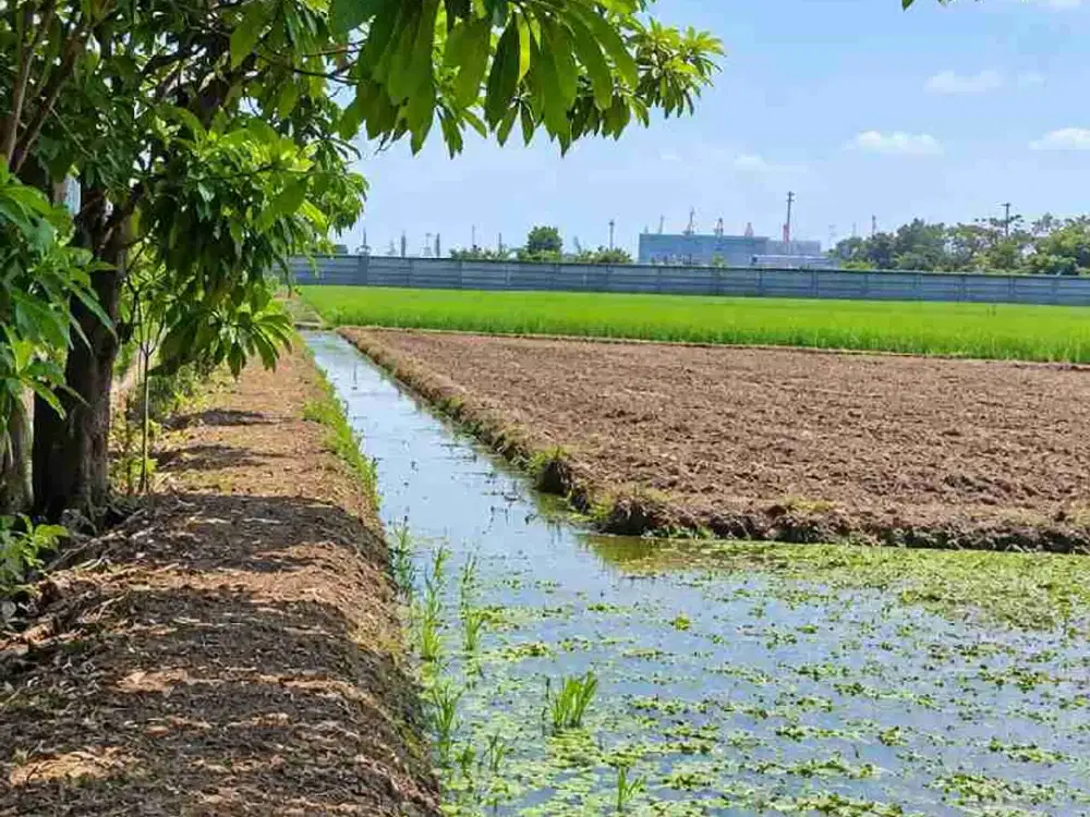 DIJUAL LAHAN INDUSTRI ROROTAN – JAKARTA UTARA | 4.184 m²