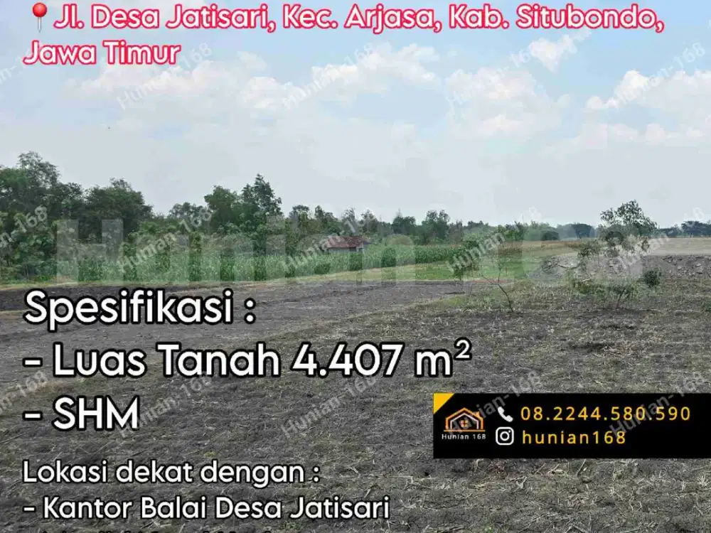 Tanah Kavling Kebun Peternakan Sawah Perkebunan Situbondo Jatisari Arjasa Jawa Timur Jatim Gudang Pabrik Workshop Parkir Garasi Jalan Raya Provinsi Bondowoso Propinsi Battal Panji