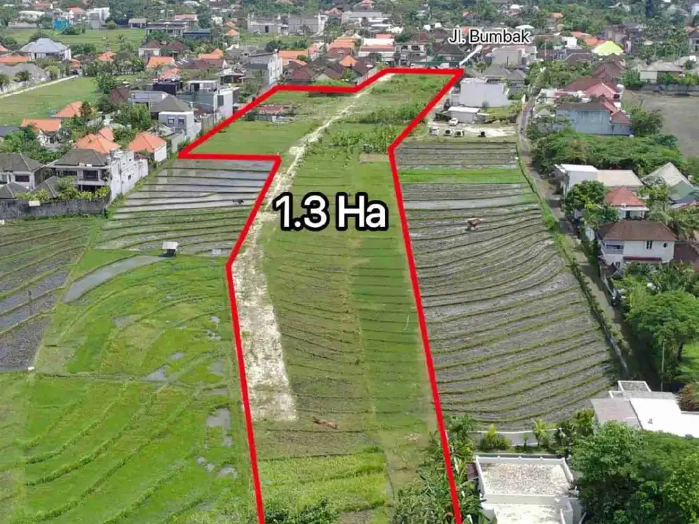 Tanah umalas kerobokan
