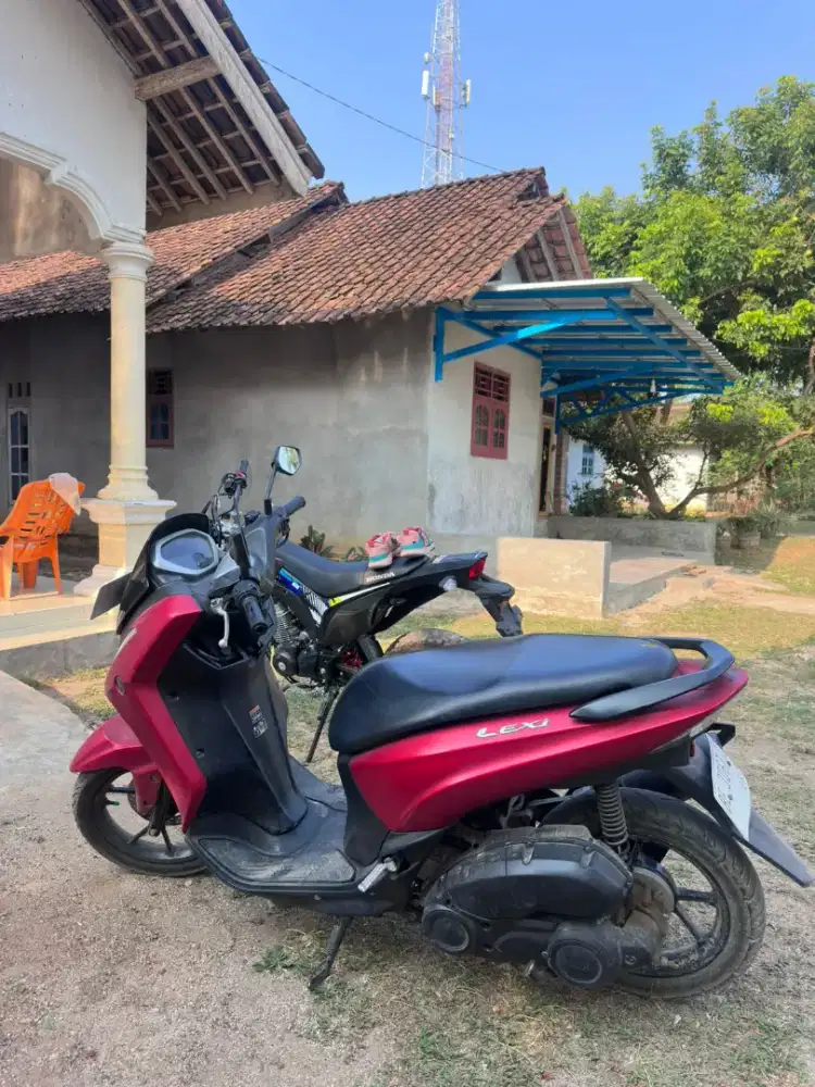 Lexi 2019 plat tanggamus