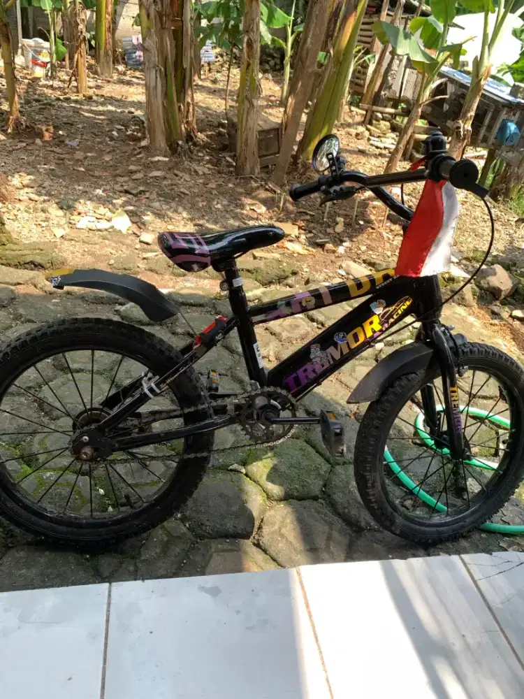 Sepeda anak ring 18