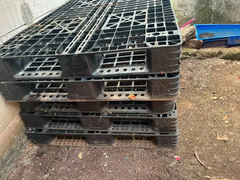 Palet Bekas 180x88x12 Murah 5 Pcs - Borongan Hanya 250 Ribu Nego Tipis