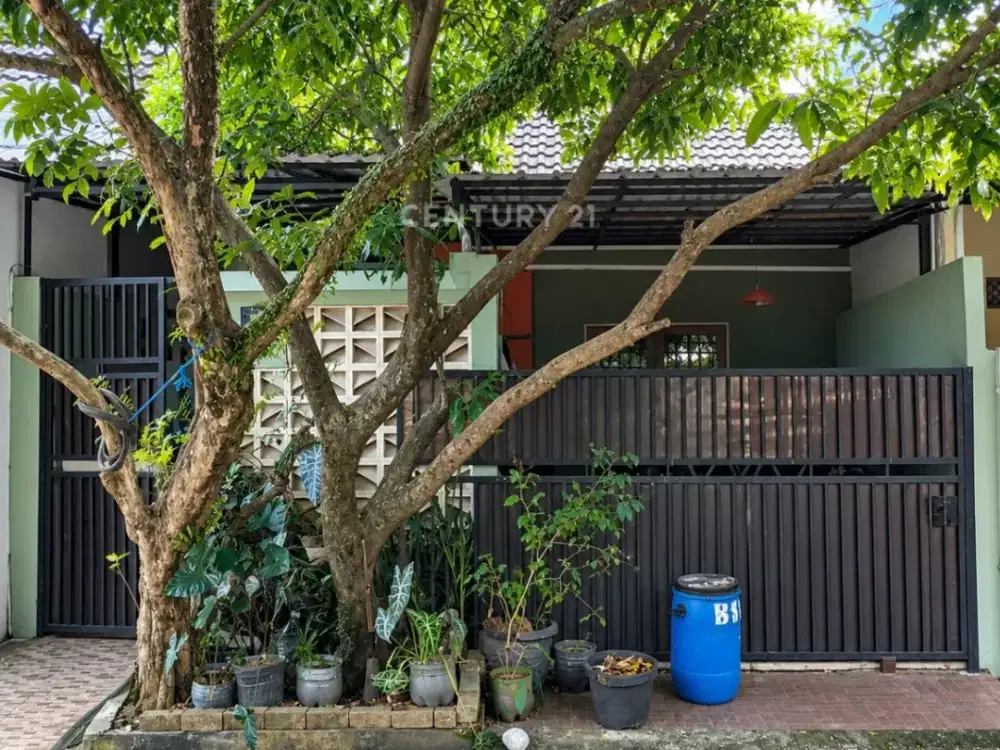 Dijual Rumah Teduh 2 Lantai Akses Mobil Luas Di Bukit Serpong