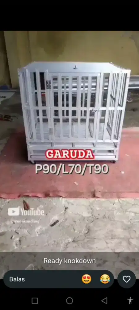 Kandang Anjing All rass