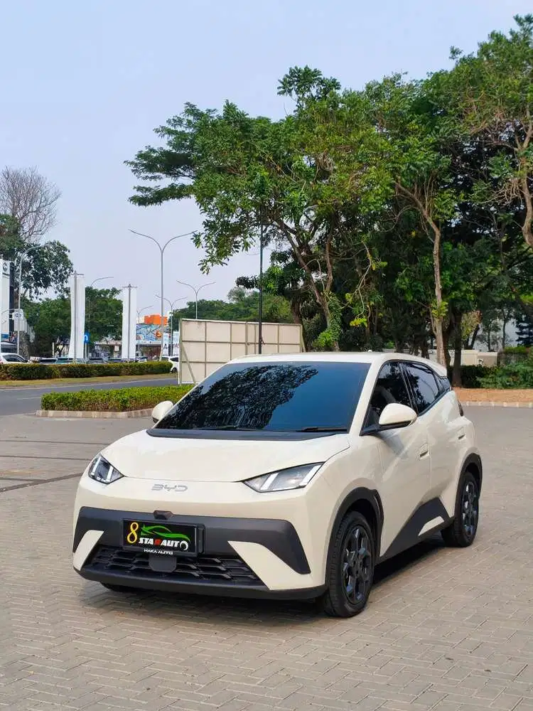 BYD Atto 1 Premium Long Range 2025