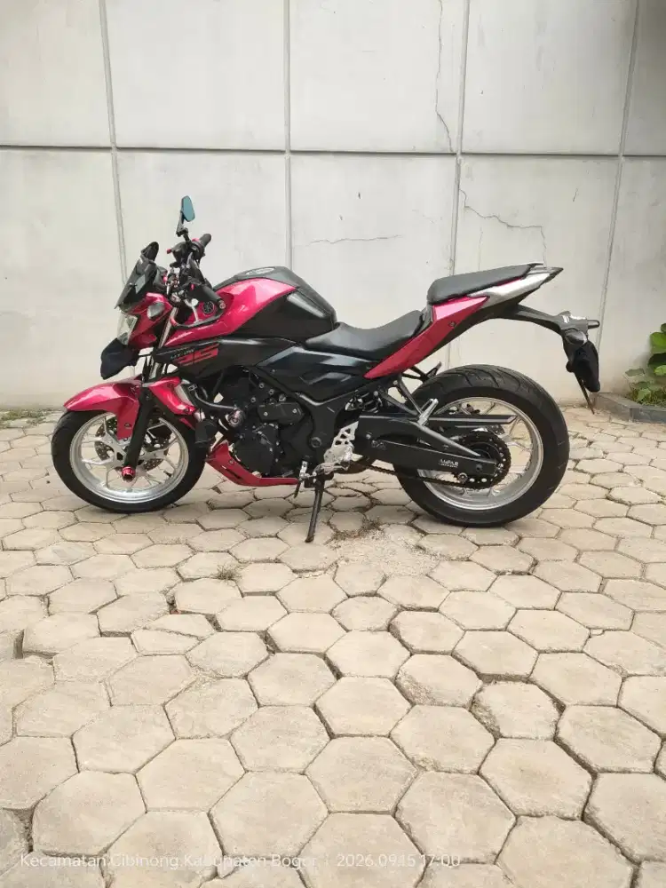 Yamaha MT-25 2015