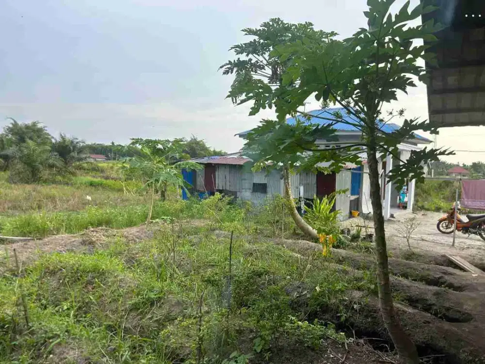 Rumah murah di jalan Seroja kulim tanah luas 1100m2