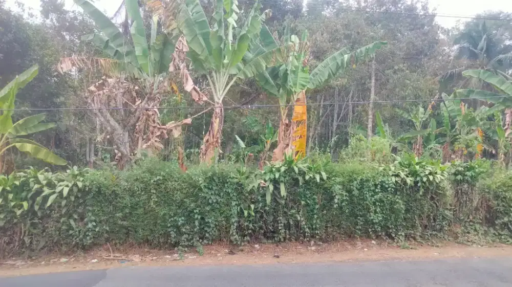Dijual tanah pinggir jalan