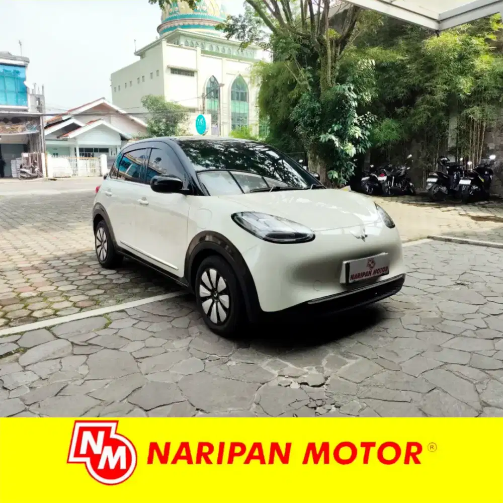 Wuling Binguo EV Premium Range 2024