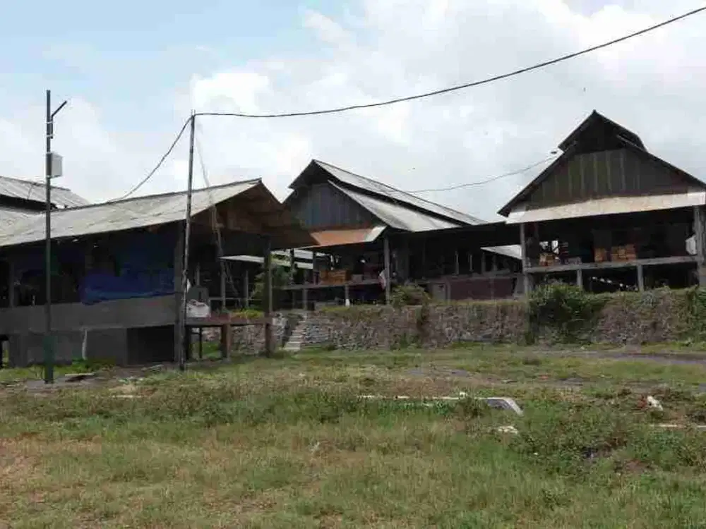 Dijual Cepat Peternakan Ayam Petelur Masih Operasional Siap Takeover di Lumajang