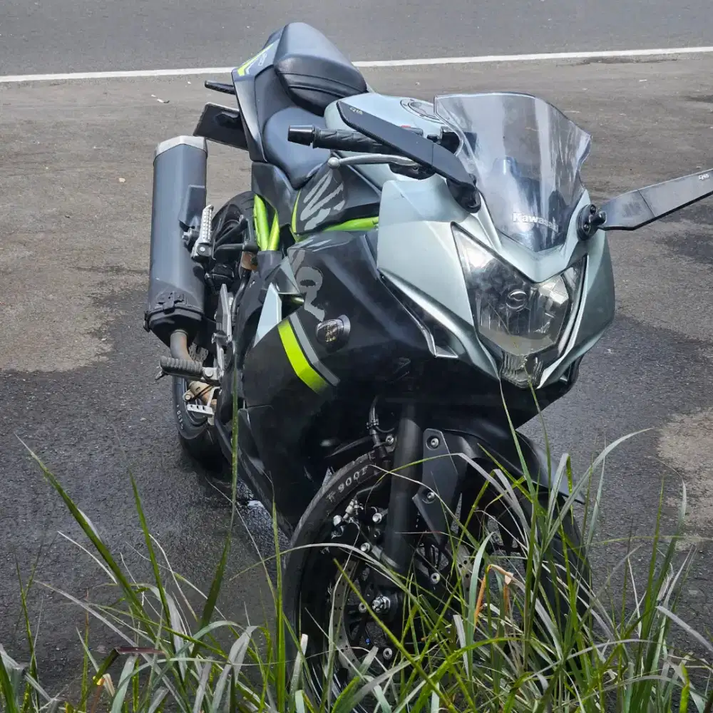 Ninja 250 SL rare Grey low KM MULUS