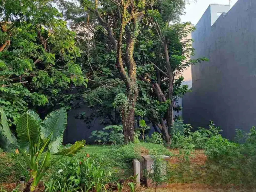 Dijual Kavling Royal Orchard Luas 300 m