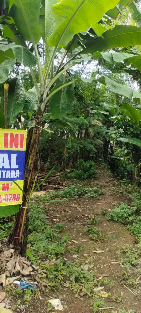 Dijual tanah strategis luas 16 tumbak