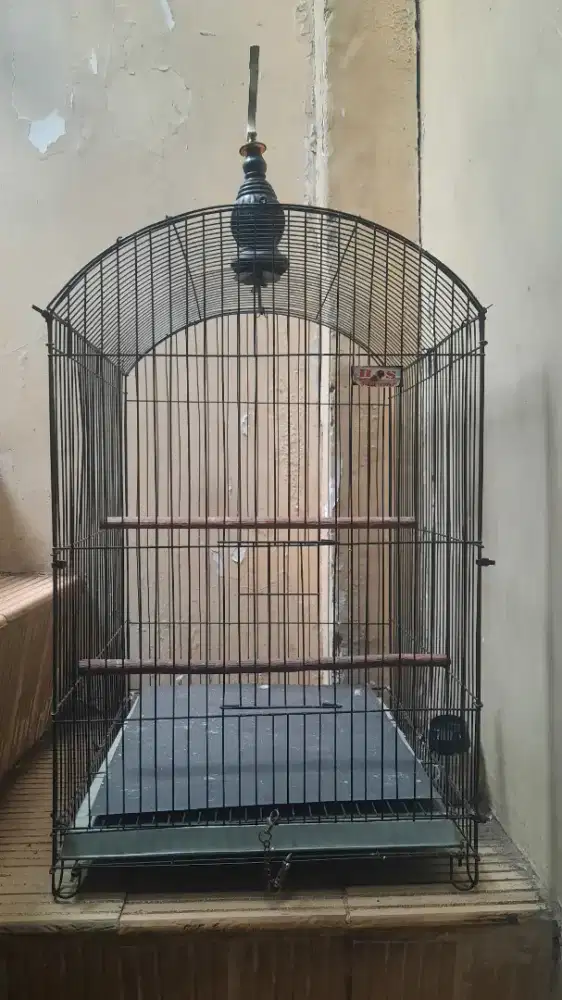 Kandang burung jalak beo dll