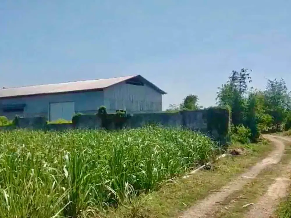 DIJUAL GUDANG LT 6.490m2 / LB 2.268 m2 TERMURAH di JATIKALANG, PRAMBON, SIDOARJO, JAWA TIMUR.