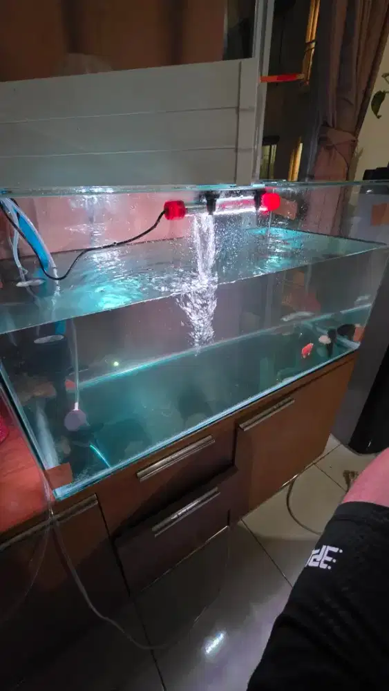 Aquarium ukuran 80x40x40