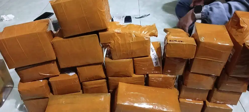 Lowongan kerja ngurus ikan cupang