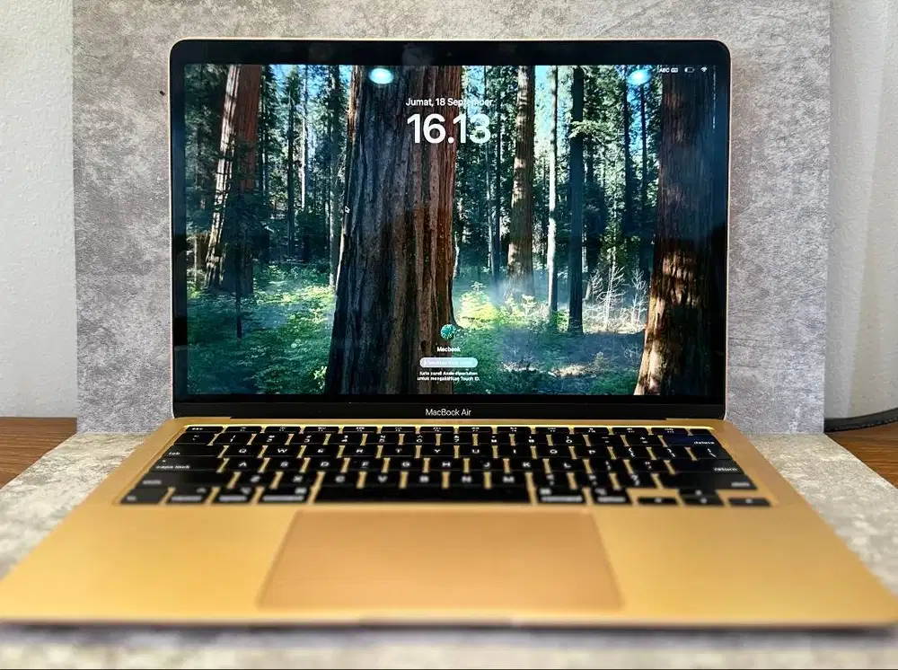 Macbook Air 13 Retina 2020 / RAM 8GB / SSD 256GB