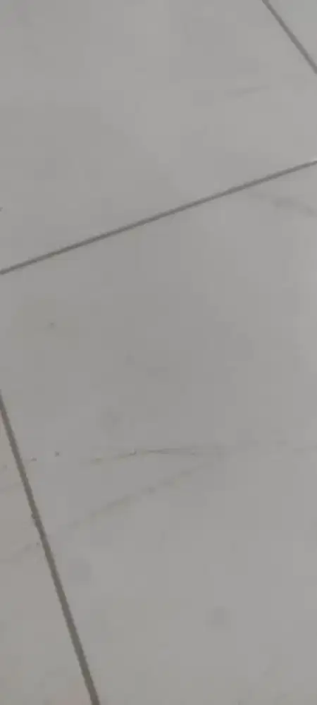 Di butuhkan karyawan/karyawati kantin