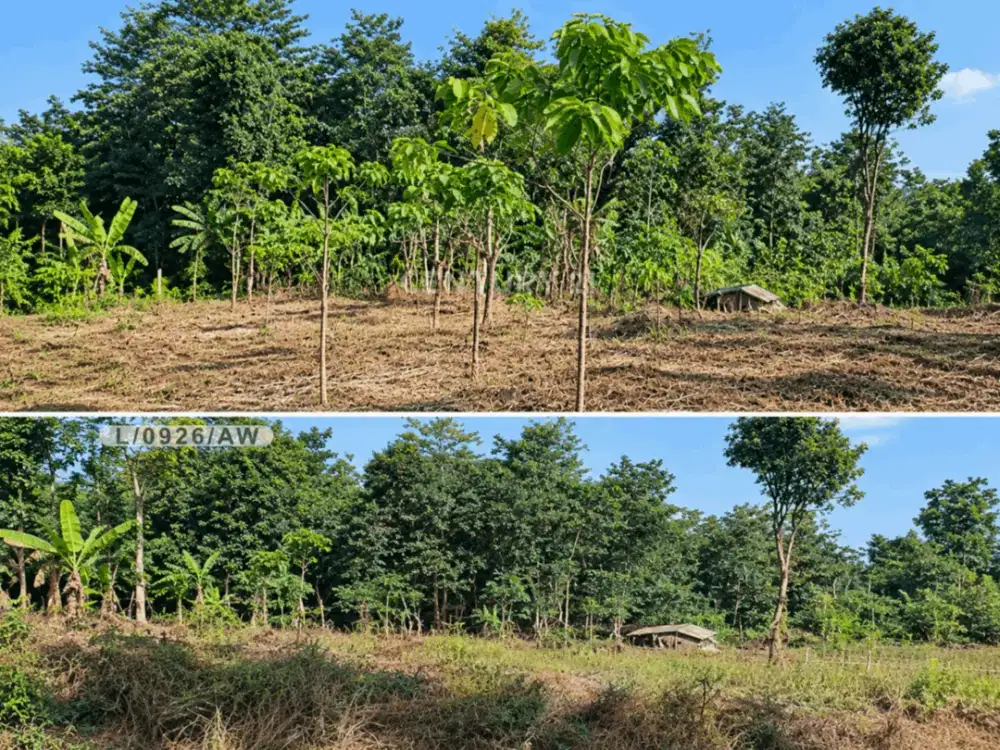 Dijual Tanah SHM Siap Bangun Dan Strategis Di Majalaya Bandung