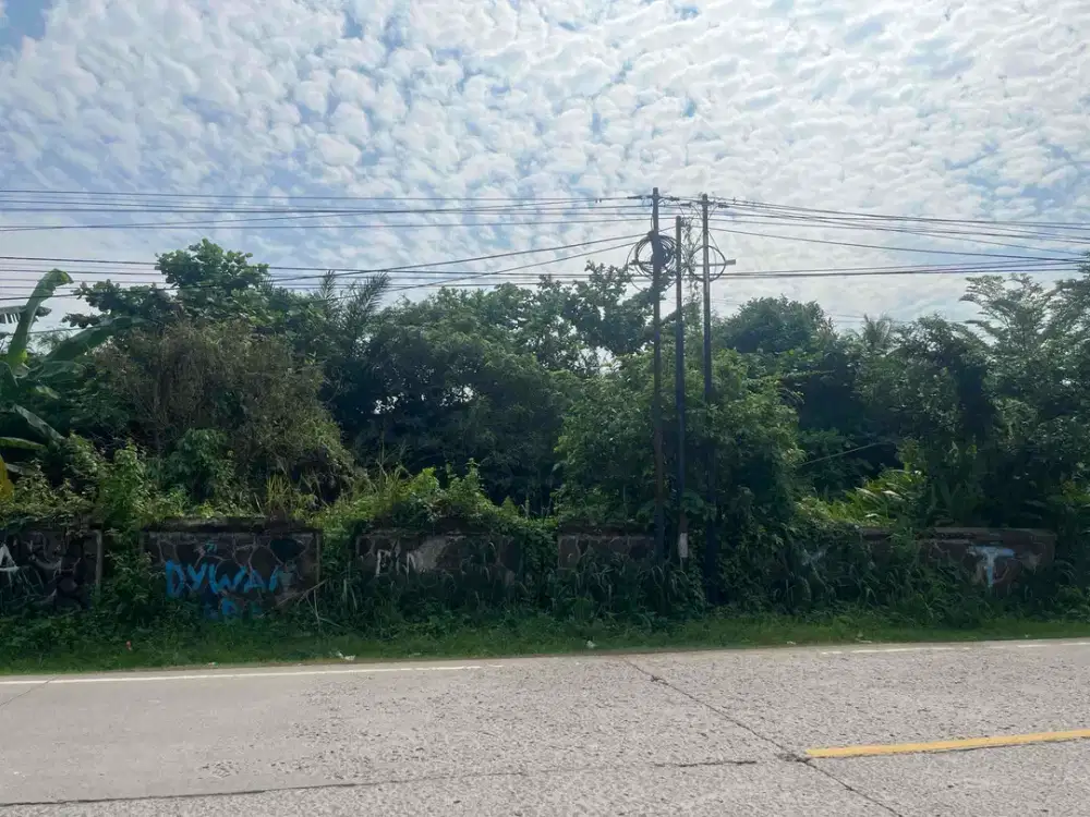 Dijual Tanah Cocok Untuk Rumah Sakit di Cigudeg Bogor
