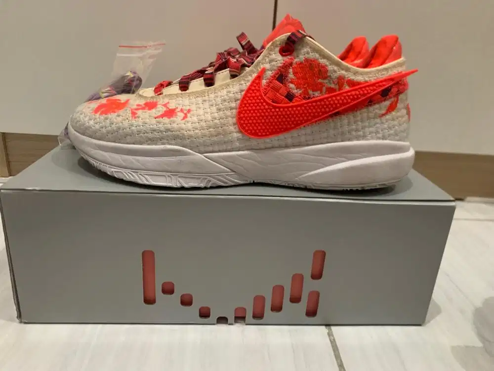 Lebron 20 Mimi x plange