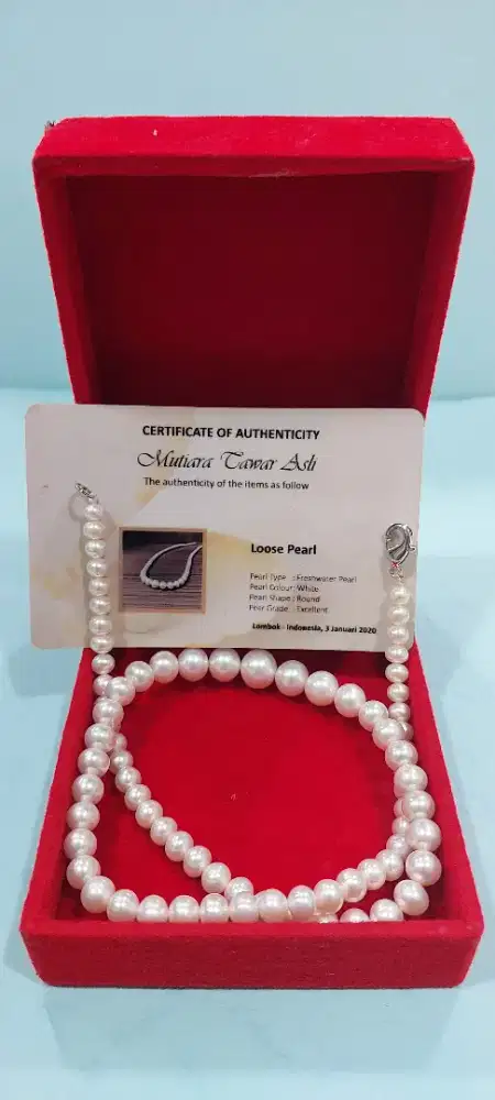 Kalung Mutiara Lombok Grade A Original