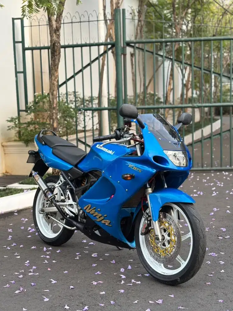 ninja rr old 2011