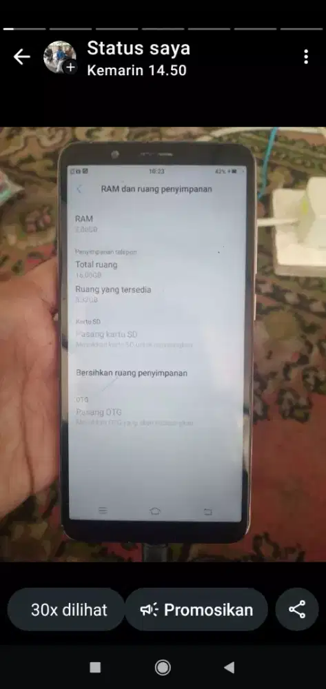 Hape seken mulus